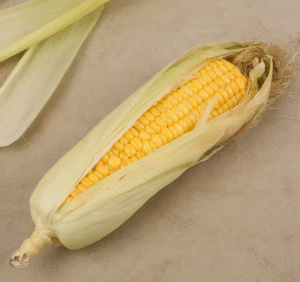 Corn Cob (Bhutta)