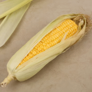Corn Cob (Bhutta)